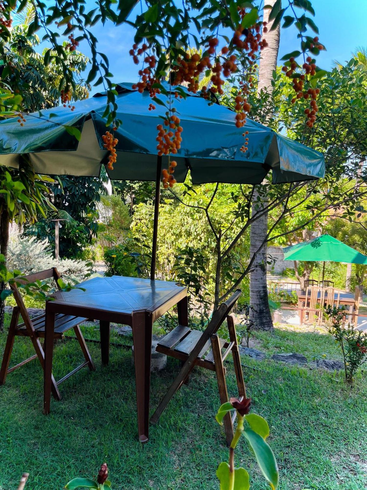 Apartamento Casa Tua Pipa - Chále 1 Praia de Pipa Exterior foto